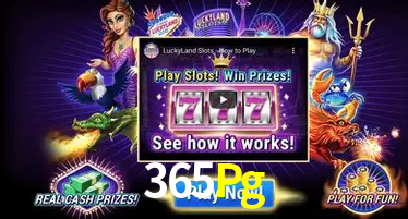 Descubra o Mundo do Cassino Online com 365Pg