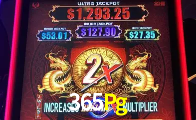 Descubra o Mundo do Cassino Online com 365Pg